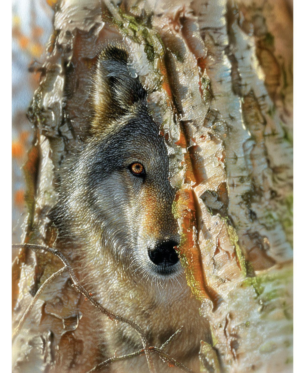 SunsOut Wolf Encounter 500 piece Jigsaw Puzzle for Adults