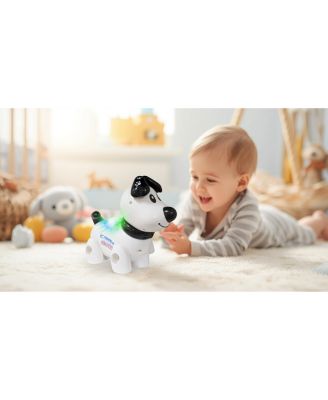 Smart Dog Toy with remote control