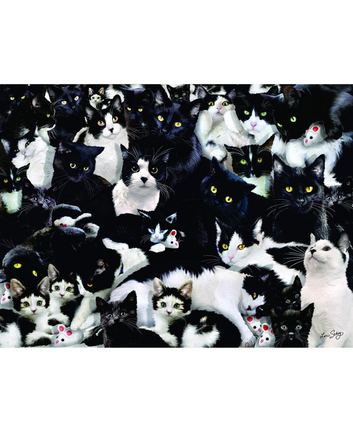 SunsOut Study in Black and White 1000 piece Jigsaw Puzzle for Adults