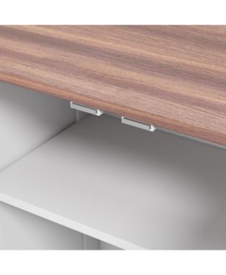 Dog Feeding Station w/ Raised Dog Bowls, Adjustable Panel