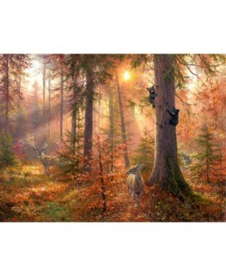 Forest Light 300 piece Jigsaw Puzzle for Adults