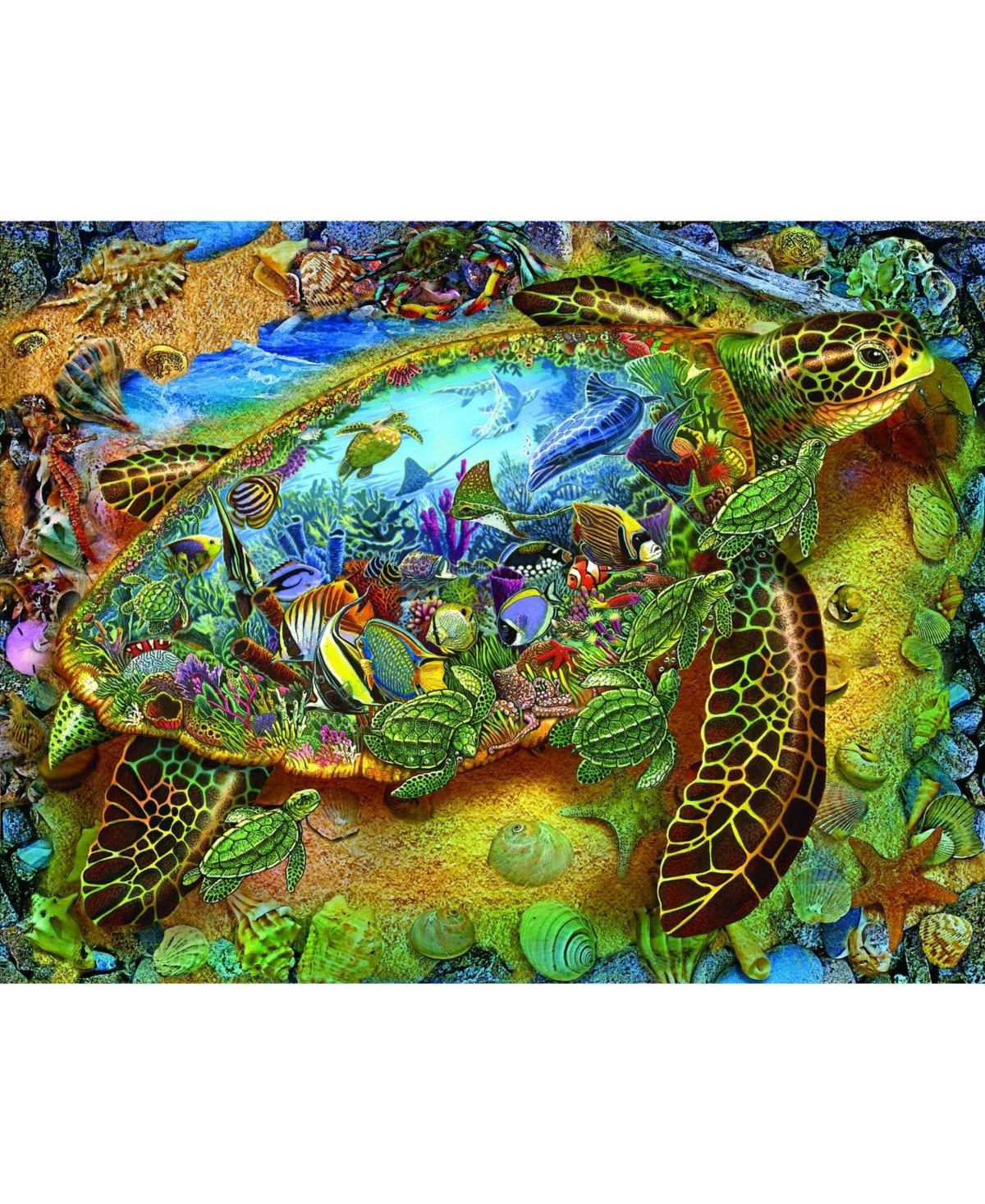 SunsOut Sea Turtle World 1000 piece Jigsaw Puzzle for Adults