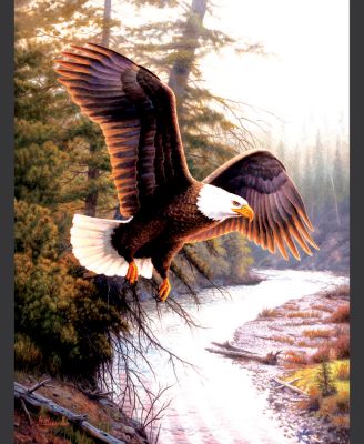 Eagle Patriot 500 piece Jigsaw Puzzle for Adults