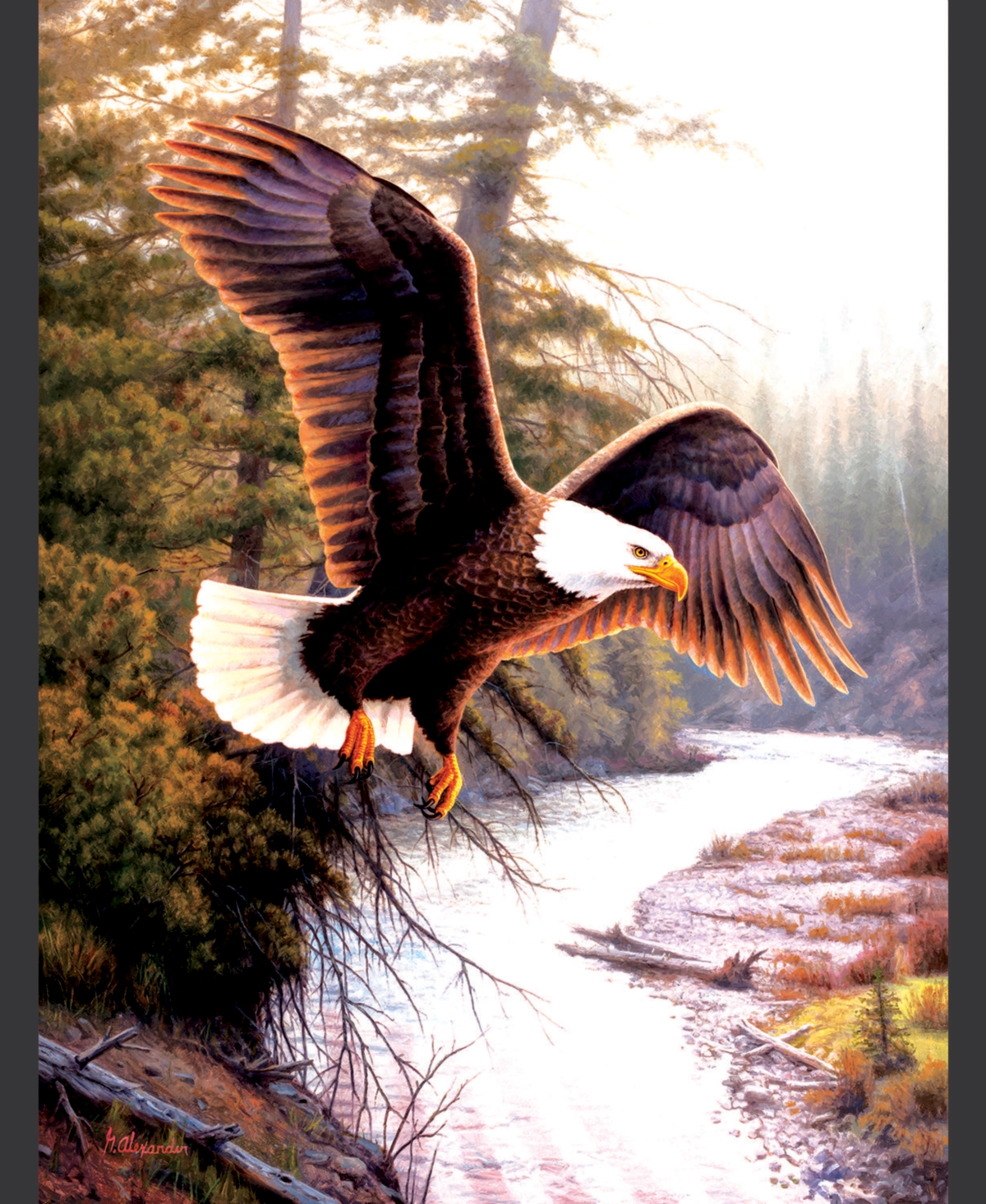 SunsOut Eagle Patriot 500 piece Jigsaw Puzzle for Adults