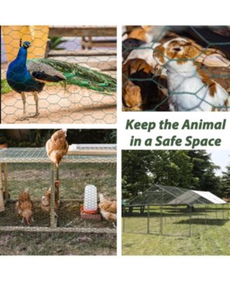 Galvanized Hex Chicken Wire for Garden and Coop