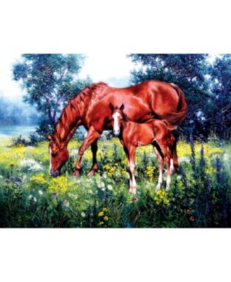 Daisy 1000 piece Jigsaw Puzzle