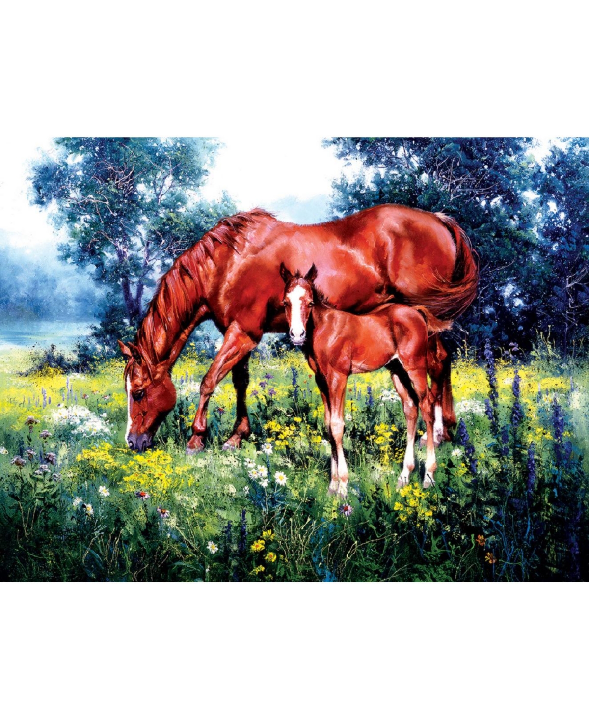 SunsOut Daisy 1000 piece Jigsaw Puzzle