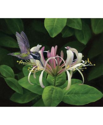Finding Nectar 550 piece Jigsaw Puzzle for Adults