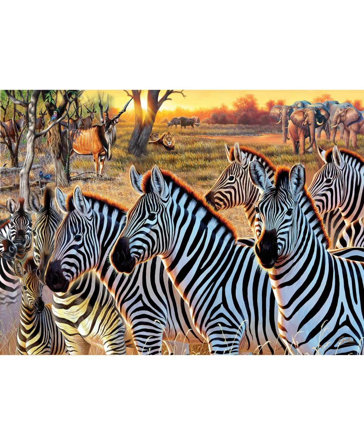 SunsOut Zebras and Friends 500 piece Jigsaw Puzzle for Adults Large Pieces