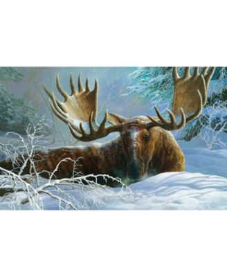 Winter Blanket 550 piece Jigsaw Puzzle for Adults