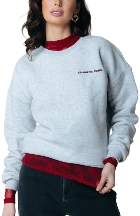 Женский топ Colourful Rebel CR Round Flower Dropped Shoulder Sweat, цвет: Пастельный серый