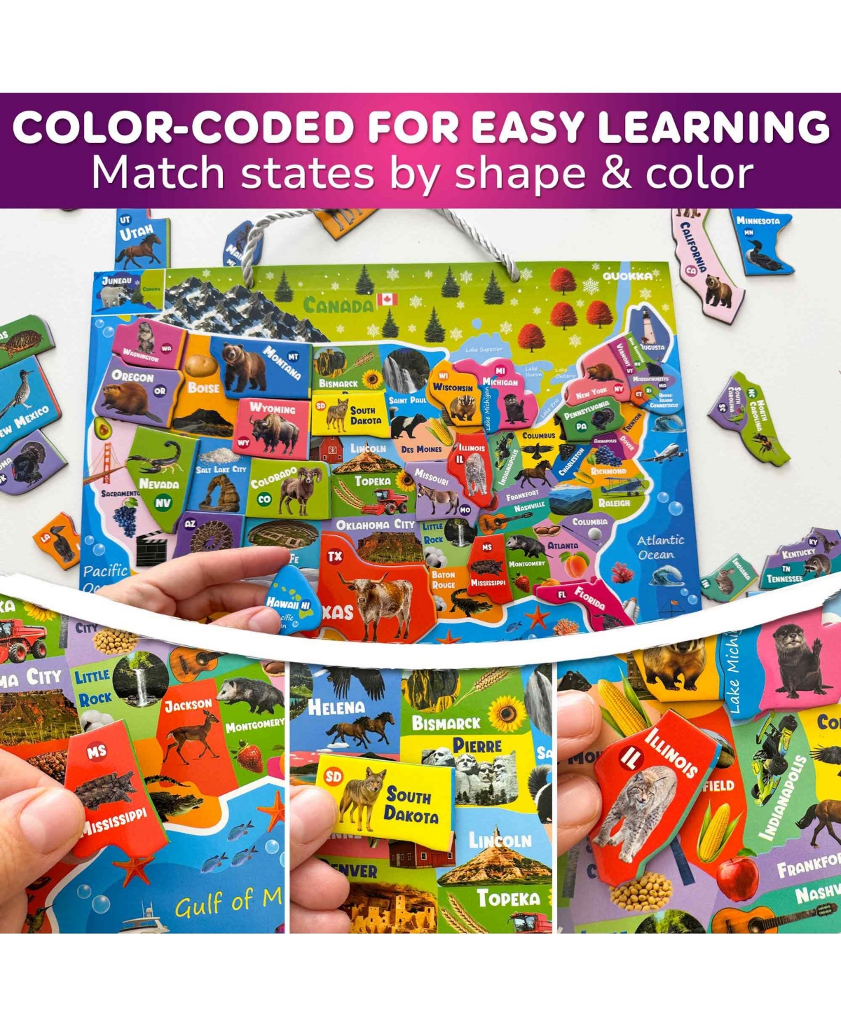 Quokka Magnetic Realistic Puzzles States Map for Kids 4-6 Years - Montessori Toys Geography Learning