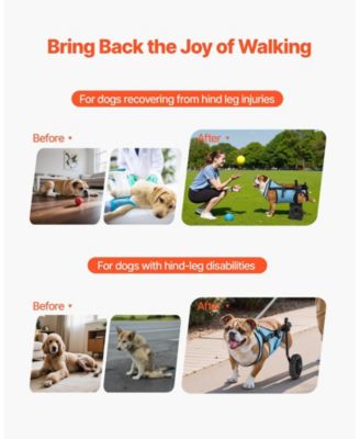 Shock-Absorbing 2-Wheel Pet Wheelchair for Back Legs, Medium