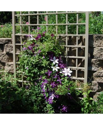 Dura-Trel Winchester 57 x 95 Inch PVC Vinyl Outdoor Garden Patio Trellis, Mocha