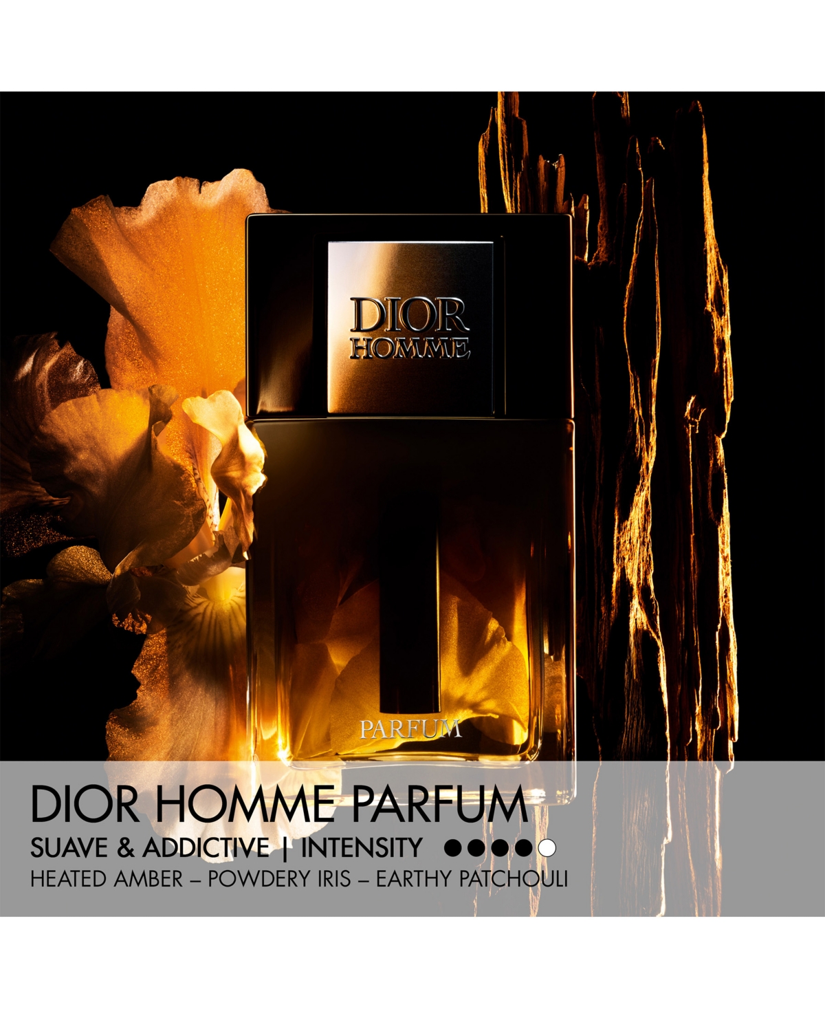 Dior Men's Homme Parfum, 4.2 oz.
