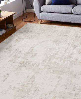 Alloy ALL341 5' x 8' Area Rug