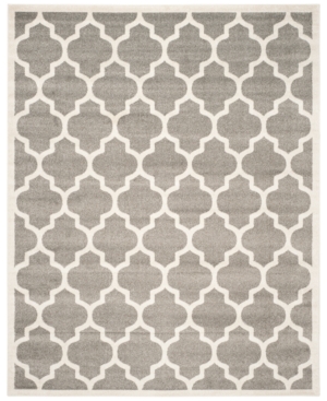 Safavieh Amherst Indoor/Outdoor AMT420 4' x 6' Area Rug