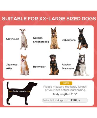 Elevated Pet Bed Dog Foldable Cot Tent Canopy Inst Shelter,