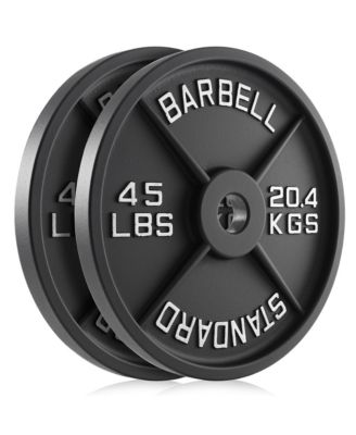Set of 2 Standard Cast Iron Olympic 2-inch Weight Plates (45 LB each)
