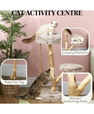35.4'' Cat Tree with Wooden Scratching Posts in Natural Wood