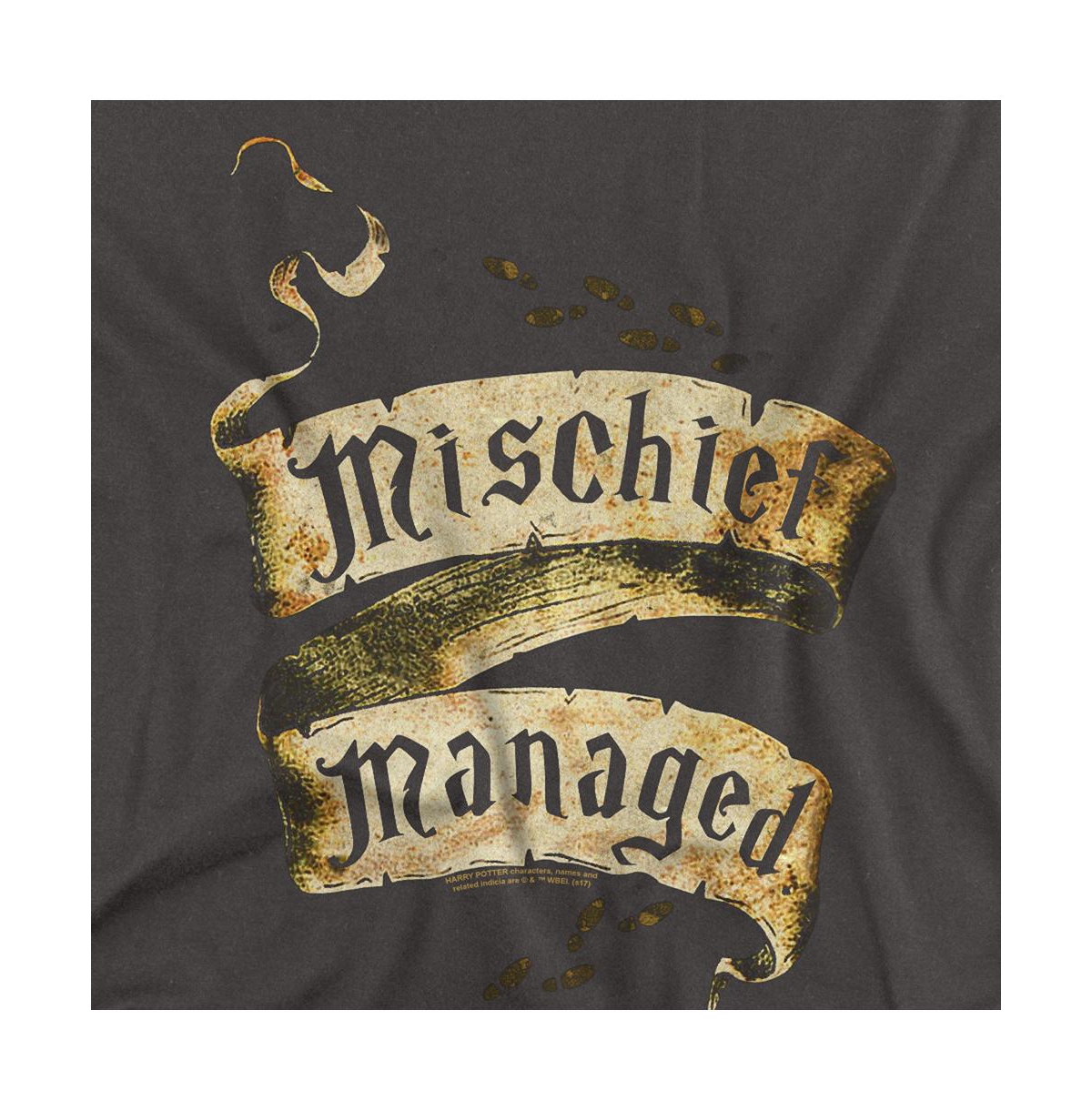 Harry Potter Big & Tall Mischief Managed T Shirt
