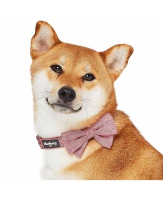 Textured Tweed Dog Collar With Detachable Bowtie Accessory