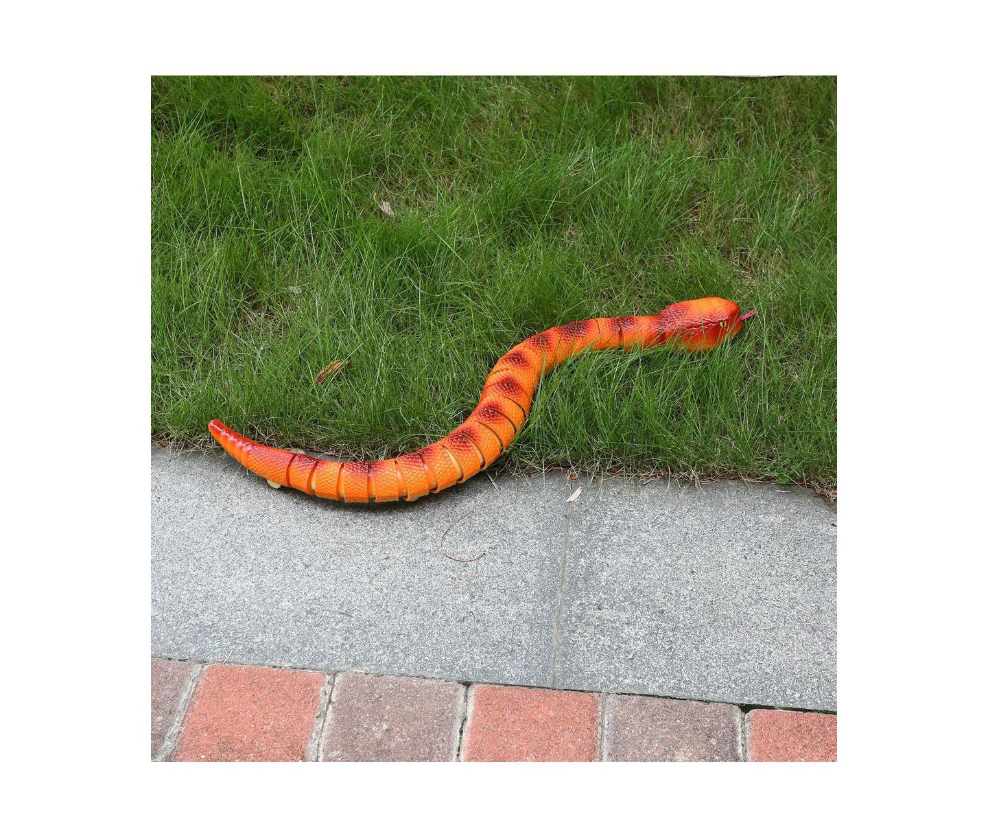 Детская игрушка Bruce & Shark Realistic 2.4GHz Remote Control Snake Toy, цвет: Оранжевый — фото 4