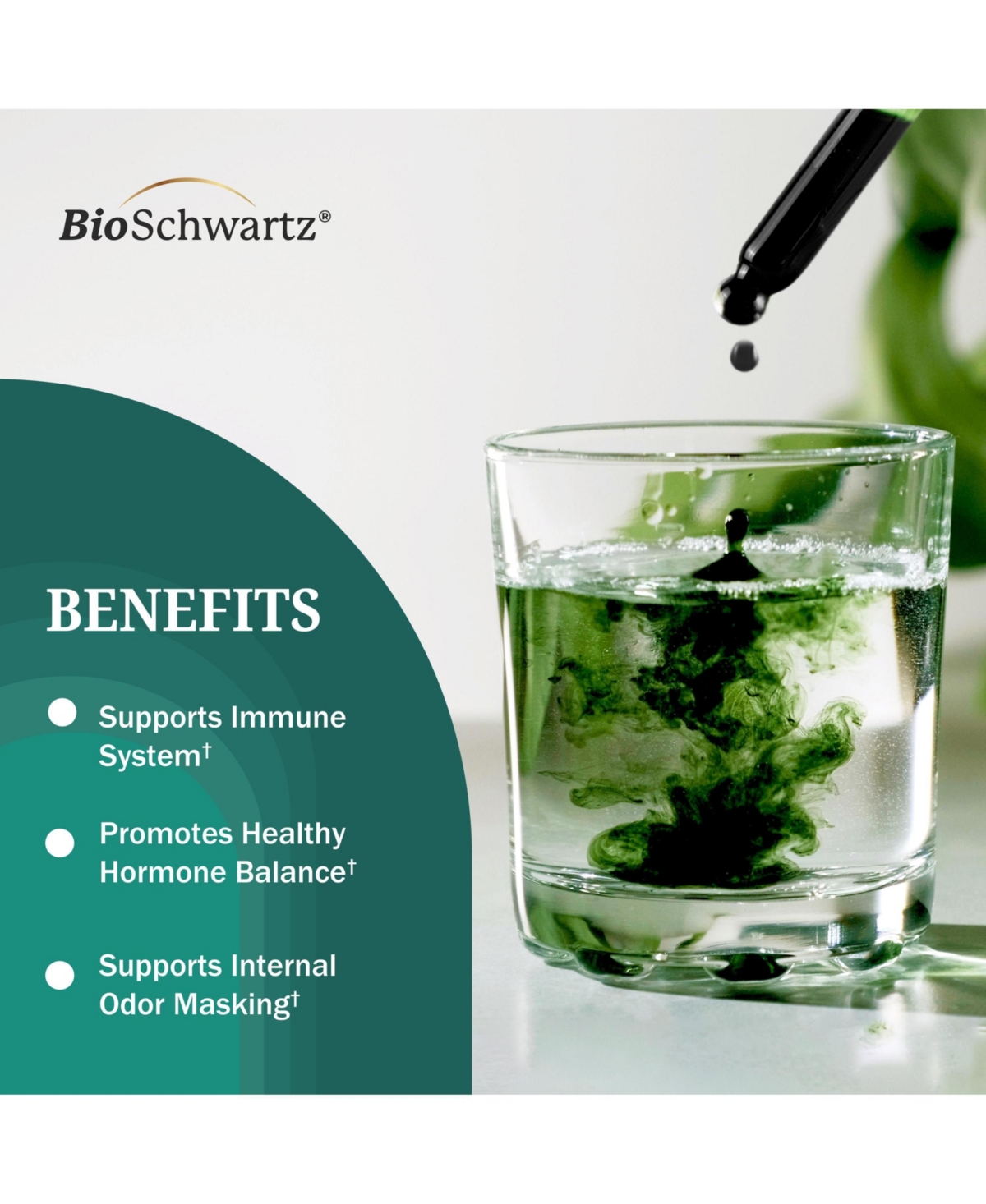 Bioschwartz Liquid Chlorophyll, Mint, 2fl oz