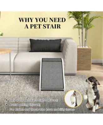 Convenient Pet Ram Dog Ramp