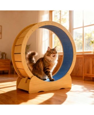 42" Cat Treadmill Wheel with Detachable Carpeted Runway in Yellow