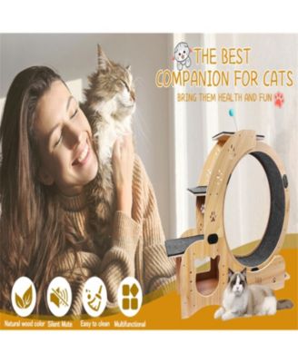 Upgraded Cat Wheel Exerciser with Silent Wheel in Natural Wood