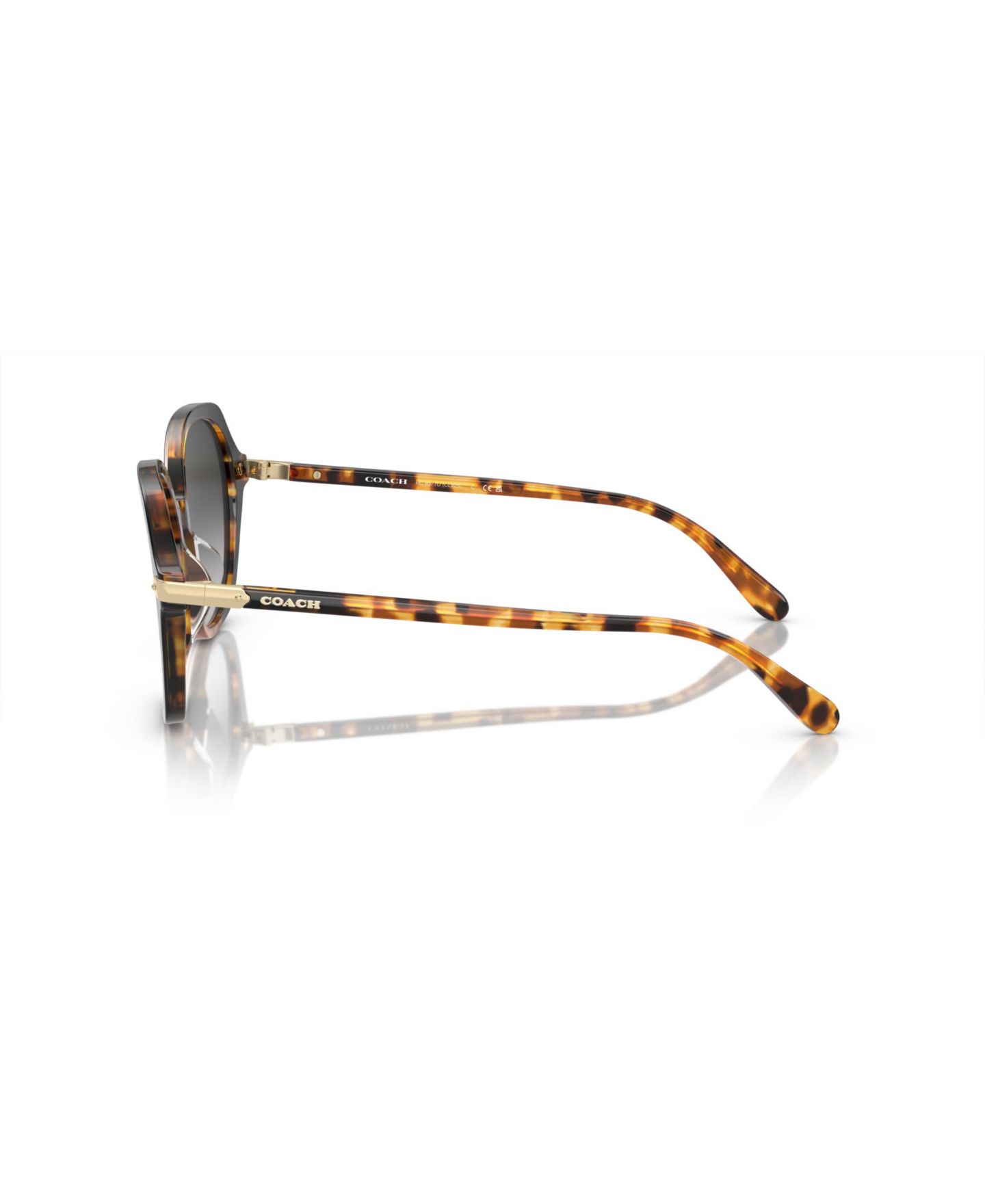 Женские солнцезащитные очки Coach Round Sunglasses, CL925 HC8377U, цвет: Медовый черепаховый чёрный градиентный — фото 3