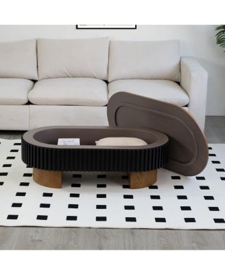 Elliptical coffee table with storage