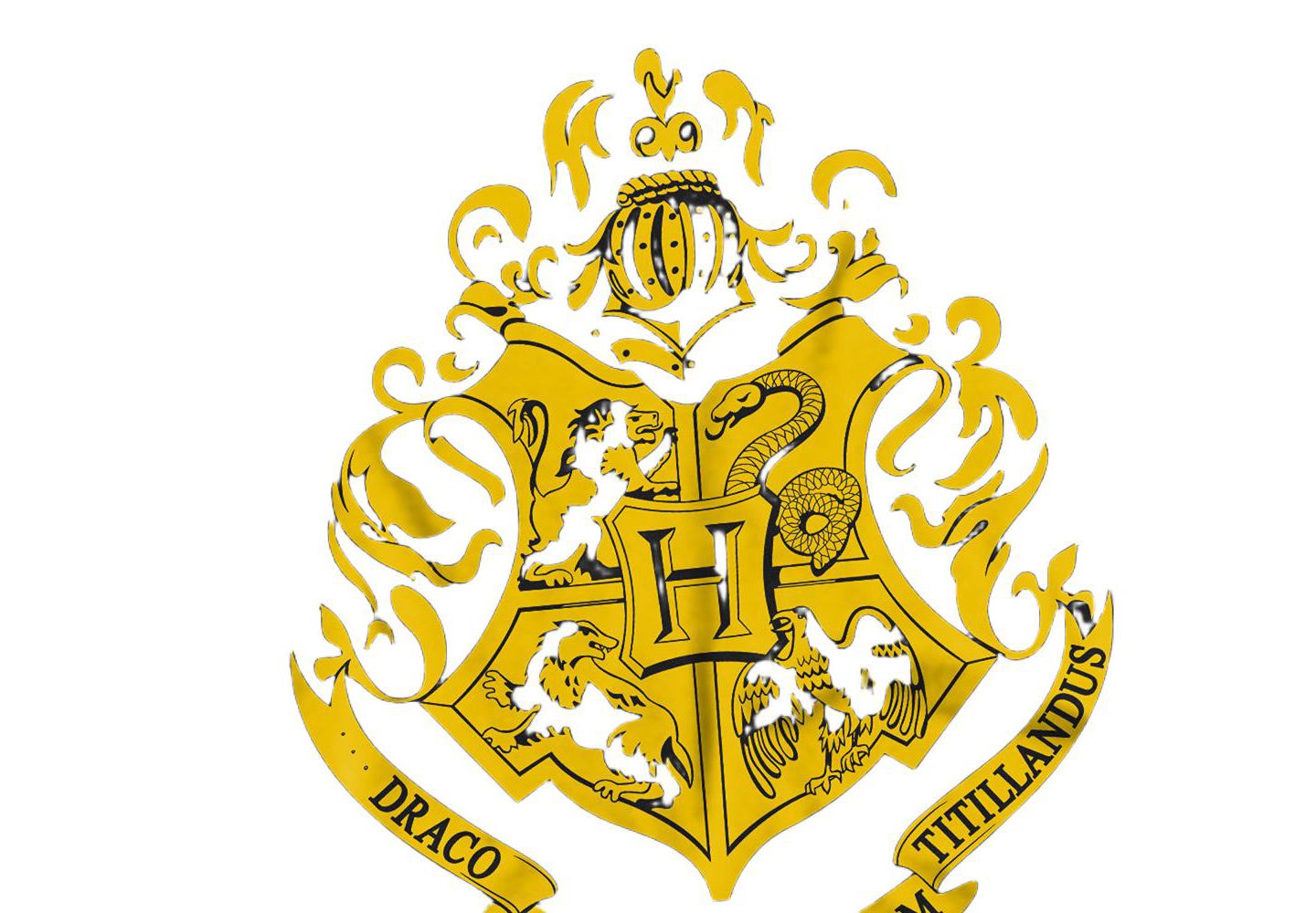 Мужская футболка Harry Potter Hogwarts Crest, цвет: Чёрный — фото 2