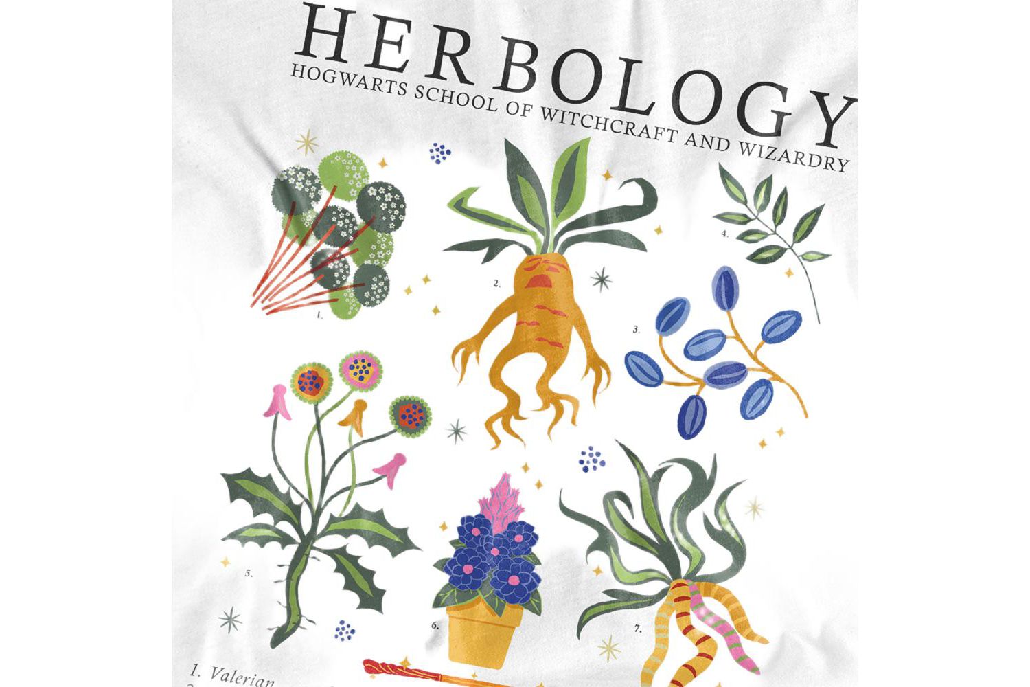 Men's Herbology T Shirt