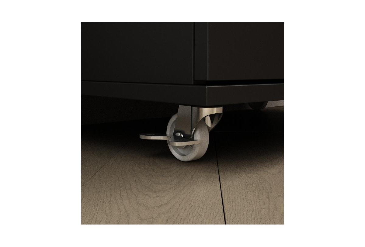 2-door shoe cabinet with Adjustable shelves, versatile storage, sturdy and durable, universal wheel design, four wheels, two brakes,black ra