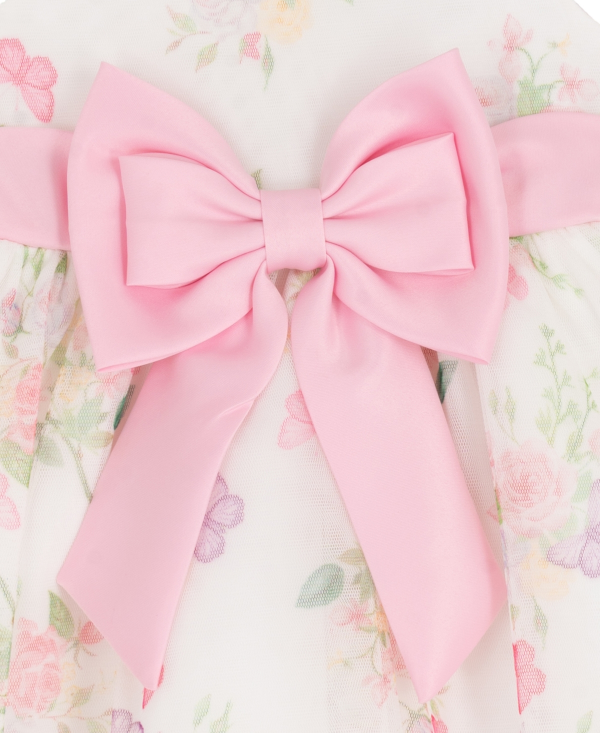 Rare Editions Baby Girls' Botanical Floral Mesh Round Neck Dress and Panty, 2-Piece Set