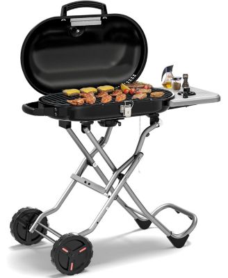 Portable Propane Gas Grill, 15,000 BTU Foldable Outdoor Grill with 348 Sq. In.