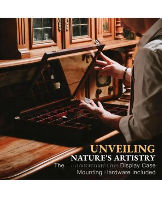 Adjustable Rock Display