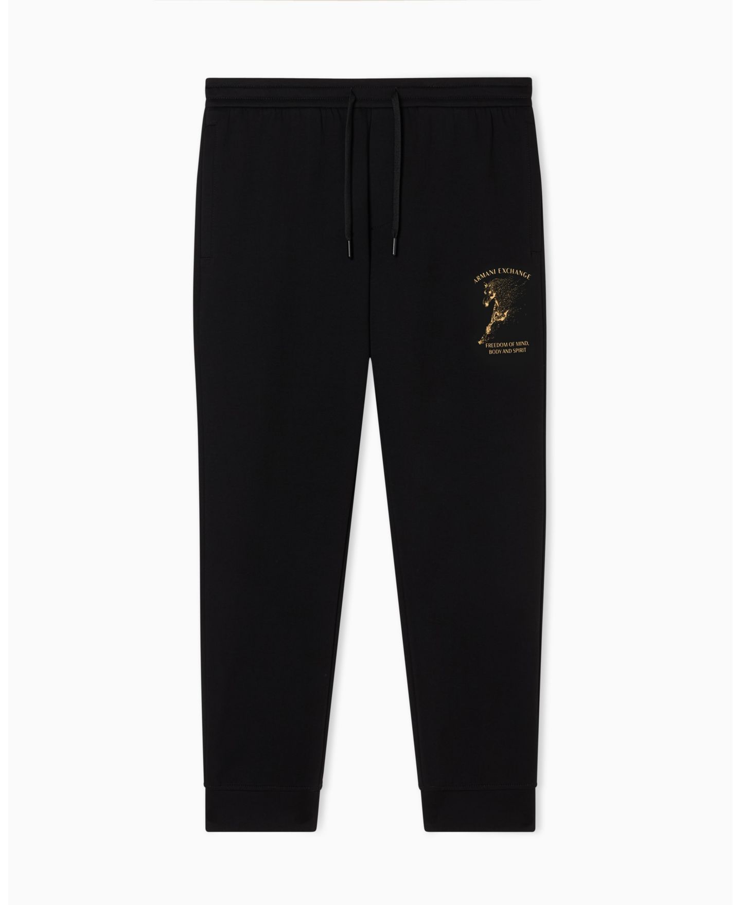 Мужские брюки A|X Armani Exchange Lunar New Year Graphic Jogger, цвет: Чёрный — фото 5