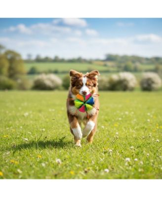 Interactive Dog Toy: Treat Dispensing Ball & Chew Toy, Durable Latex Wedge Shape for Mental Stimulation and Play