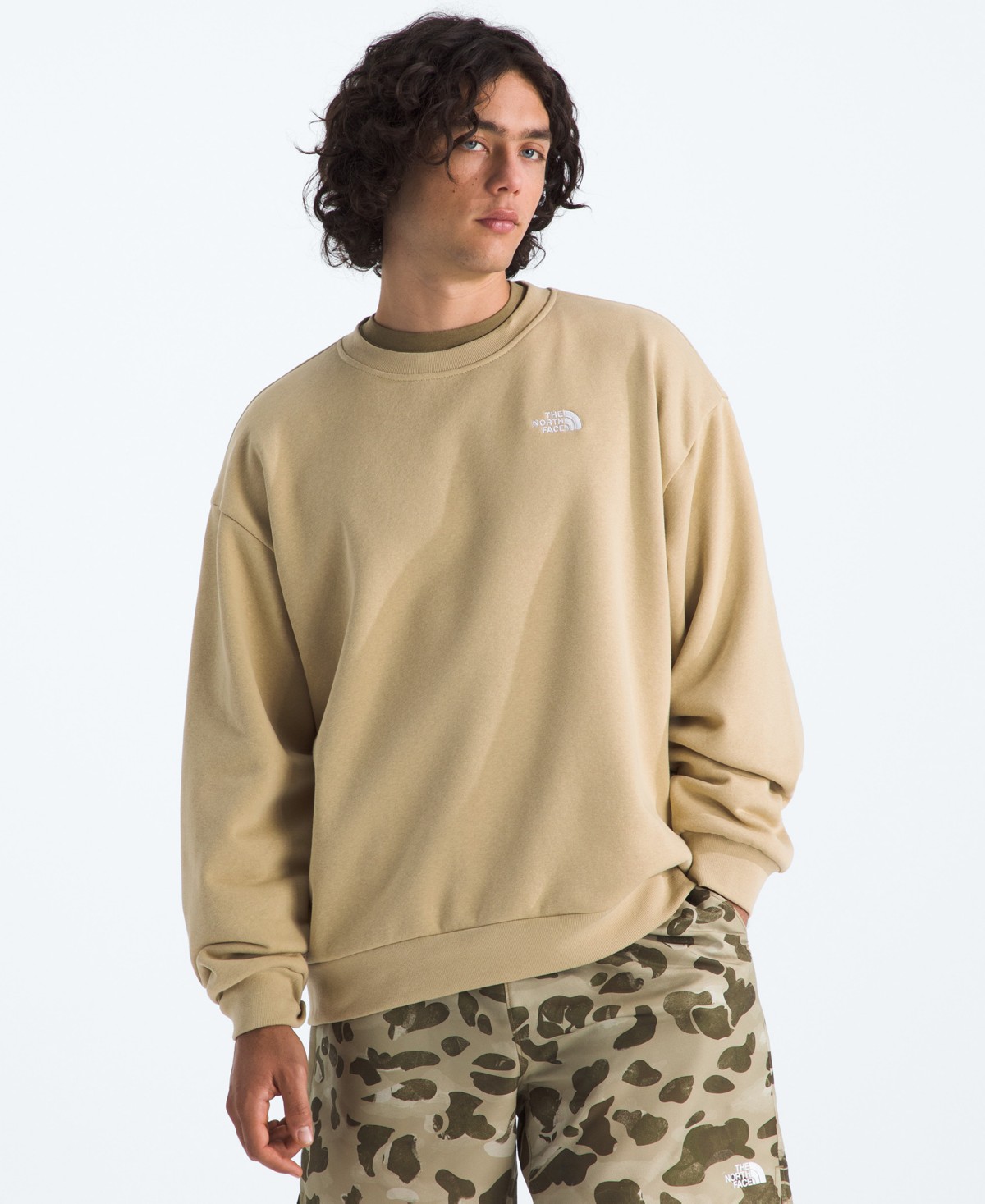Мужские худи The North Face Men's Evolution Simple Dome Oversized Sweatshirt — фото 1