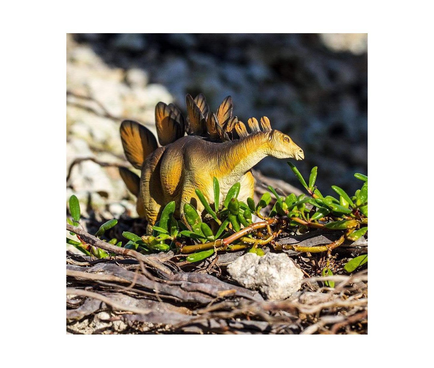 Детская фигурка Safari Ltd. Stegosaurus — фото 3