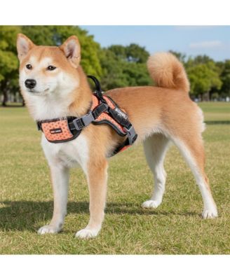 High-Performance Sport Dog Harness “Helios Scorpion” - Free-Range Mobility & Secure Fit for Active Dogs
