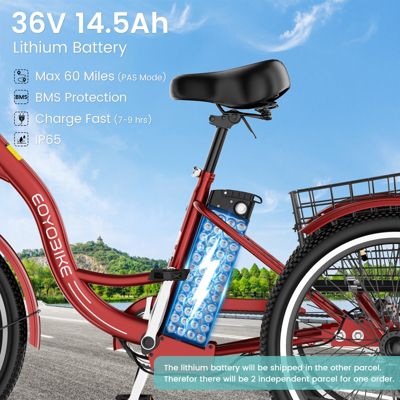 350W Electric Tricycle for Adults with 24" x 2.1" Wheels