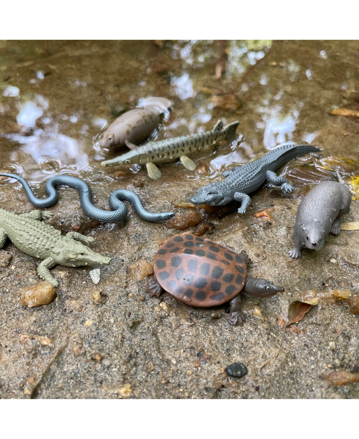 Safari Ltd. Everglades