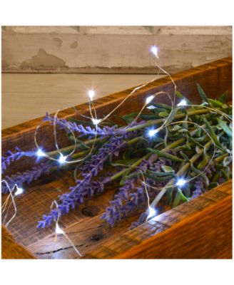 Lumabase Set of 2, 100 Mini String Lights with Timer