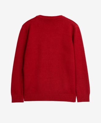 Boy's Basic V-Neck Sweater