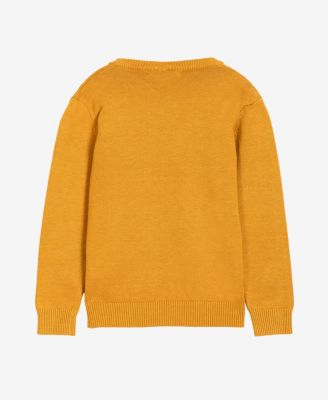 Boy's Basic V-Neck Sweater