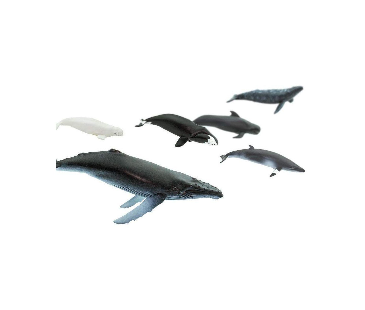 Детские фигурки Safari Ltd. Whale Toob 10-Piece Figurine Set, Ages 3+ — фото 2